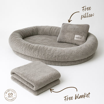 comfort cloud bed