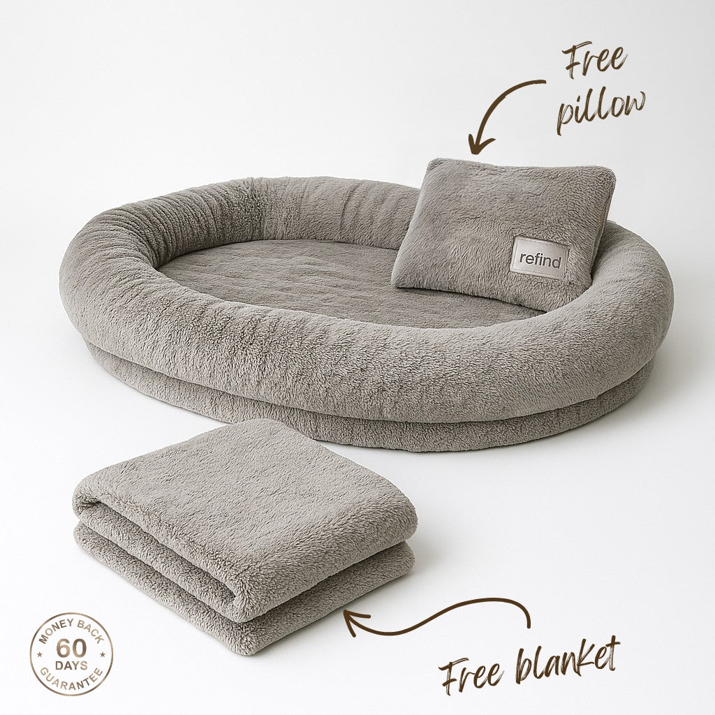 comfort cloud bed
